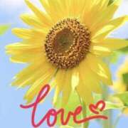 ヒメ日記 2025/11/06 23:46 投稿 鈴谷ゆうり 五十路マダム　和歌山店