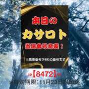 ヒメ日記 2025/11/10 12:56 投稿 鈴谷ゆうり 五十路マダム　和歌山店