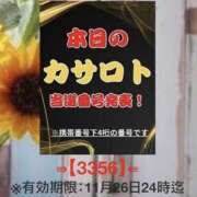 ヒメ日記 2025/11/13 12:44 投稿 鈴谷ゆうり 五十路マダム　和歌山店