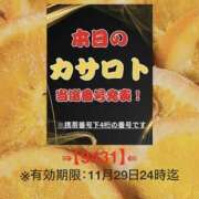 ヒメ日記 2025/11/16 10:50 投稿 鈴谷ゆうり 五十路マダム　和歌山店