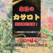ヒメ日記 2025/11/17 12:04 投稿 鈴谷ゆうり 五十路マダム　和歌山店