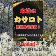 ヒメ日記 2025/11/18 15:36 投稿 鈴谷ゆうり 五十路マダム　和歌山店