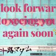 ヒメ日記 2025/11/19 00:40 投稿 鈴谷ゆうり 五十路マダム　和歌山店