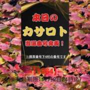 ヒメ日記 2025/11/19 12:30 投稿 鈴谷ゆうり 五十路マダム　和歌山店