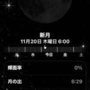 ヒメ日記 2025/11/20 06:20 投稿 鈴谷ゆうり 五十路マダム　和歌山店