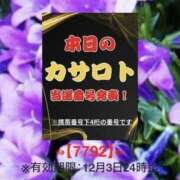 ヒメ日記 2025/11/21 10:18 投稿 鈴谷ゆうり 五十路マダム　和歌山店