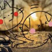 ヒメ日記 2025/11/21 10:36 投稿 鈴谷ゆうり 五十路マダム　和歌山店