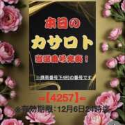 ヒメ日記 2025/11/23 12:46 投稿 鈴谷ゆうり 五十路マダム　和歌山店