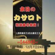ヒメ日記 2025/11/24 11:10 投稿 鈴谷ゆうり 五十路マダム　和歌山店