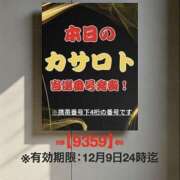 ヒメ日記 2025/11/26 11:02 投稿 鈴谷ゆうり 五十路マダム　和歌山店