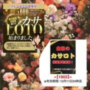 ヒメ日記 2025/11/29 12:58 投稿 鈴谷ゆうり 五十路マダム　和歌山店