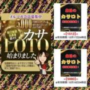 ヒメ日記 2025/12/05 14:00 投稿 鈴谷ゆうり 五十路マダム　和歌山店