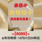 ヒメ日記 2025/12/08 11:34 投稿 鈴谷ゆうり 五十路マダム　和歌山店