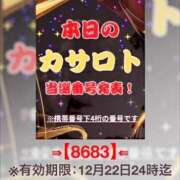 ヒメ日記 2025/12/09 12:22 投稿 鈴谷ゆうり 五十路マダム　和歌山店