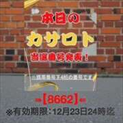 ヒメ日記 2025/12/10 10:18 投稿 鈴谷ゆうり 五十路マダム　和歌山店