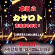 ヒメ日記 2025/12/12 11:10 投稿 鈴谷ゆうり 五十路マダム　和歌山店