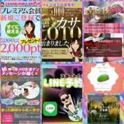 ヒメ日記 2025/12/13 12:16 投稿 鈴谷ゆうり 五十路マダム　和歌山店