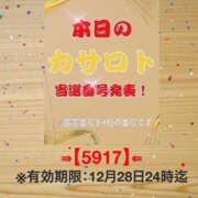 ヒメ日記 2025/12/15 12:06 投稿 鈴谷ゆうり 五十路マダム　和歌山店