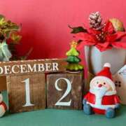 ヒメ日記 2025/12/21 10:30 投稿 鈴谷ゆうり 五十路マダム　和歌山店