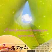 ヒメ日記 2025/12/23 17:44 投稿 鈴谷ゆうり 五十路マダム　和歌山店