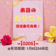 ヒメ日記 2025/12/24 13:04 投稿 鈴谷ゆうり 五十路マダム　和歌山店