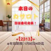 ヒメ日記 2025/12/27 10:58 投稿 鈴谷ゆうり 五十路マダム　和歌山店