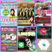 ヒメ日記 2025/12/29 05:20 投稿 鈴谷ゆうり 五十路マダム　和歌山店