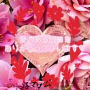 ヒメ日記 2025/12/29 12:00 投稿 鈴谷ゆうり 五十路マダム　和歌山店