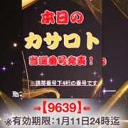 ヒメ日記 2025/12/29 20:12 投稿 鈴谷ゆうり 五十路マダム　和歌山店