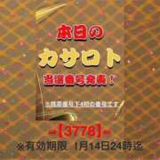 ヒメ日記 2026/01/02 07:24 投稿 鈴谷ゆうり 五十路マダム　和歌山店