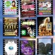 ヒメ日記 2026/01/05 04:44 投稿 鈴谷ゆうり 五十路マダム　和歌山店