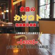 ヒメ日記 2026/01/07 11:14 投稿 鈴谷ゆうり 五十路マダム　和歌山店