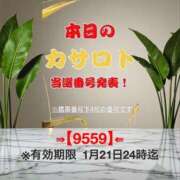 ヒメ日記 2026/01/08 14:30 投稿 鈴谷ゆうり 五十路マダム　和歌山店