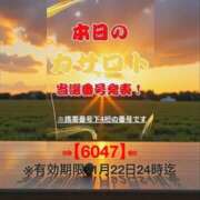 ヒメ日記 2026/01/10 08:50 投稿 鈴谷ゆうり 五十路マダム　和歌山店