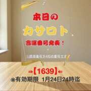 ヒメ日記 2026/01/12 07:04 投稿 鈴谷ゆうり 五十路マダム　和歌山店