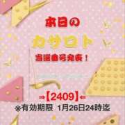 ヒメ日記 2026/01/13 13:36 投稿 鈴谷ゆうり 五十路マダム　和歌山店