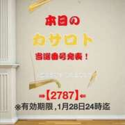 ヒメ日記 2026/01/15 11:10 投稿 鈴谷ゆうり 五十路マダム　和歌山店