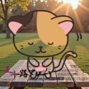 ヒメ日記 2026/01/15 16:14 投稿 鈴谷ゆうり 五十路マダム　和歌山店