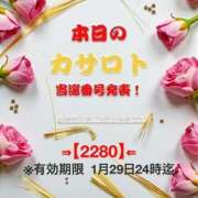 ヒメ日記 2026/01/16 13:18 投稿 鈴谷ゆうり 五十路マダム　和歌山店