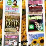 ヒメ日記 2026/01/17 07:18 投稿 鈴谷ゆうり 五十路マダム　和歌山店