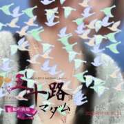 ヒメ日記 2026/01/18 16:04 投稿 鈴谷ゆうり 五十路マダム　和歌山店