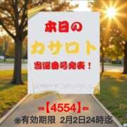 ヒメ日記 2026/01/20 09:08 投稿 鈴谷ゆうり 五十路マダム　和歌山店