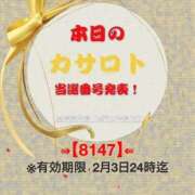 鈴谷ゆうり 1月21日　カサロト当選番号 五十路マダム　和歌山店