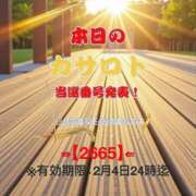 ヒメ日記 2026/01/22 10:42 投稿 鈴谷ゆうり 五十路マダム　和歌山店