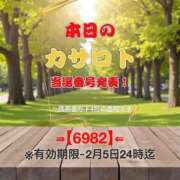 ヒメ日記 2026/01/23 16:18 投稿 鈴谷ゆうり 五十路マダム　和歌山店