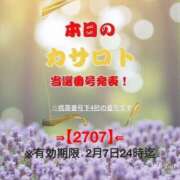 ヒメ日記 2026/01/25 14:50 投稿 鈴谷ゆうり 五十路マダム　和歌山店
