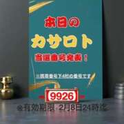 ヒメ日記 2026/01/26 12:24 投稿 鈴谷ゆうり 五十路マダム　和歌山店