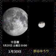 ヒメ日記 2026/01/31 00:44 投稿 鈴谷ゆうり 五十路マダム　和歌山店