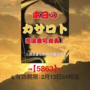 ヒメ日記 2026/01/31 11:52 投稿 鈴谷ゆうり 五十路マダム　和歌山店