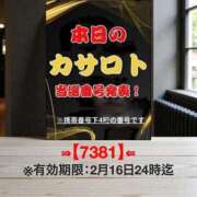 ヒメ日記 2026/02/04 11:16 投稿 鈴谷ゆうり 五十路マダム　和歌山店